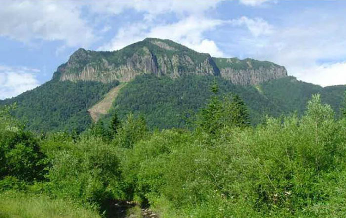 naenara-image