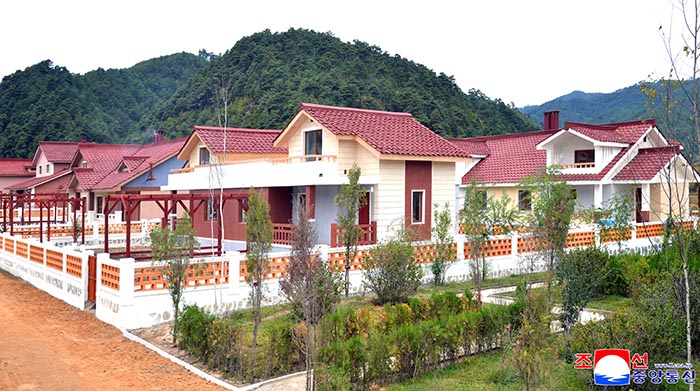naenara-image